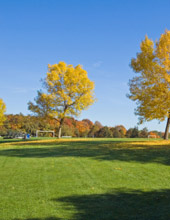 Ward 3 Park